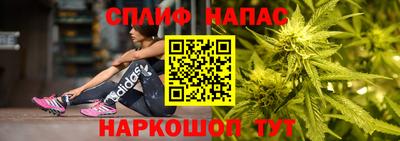 дживик Дубна
