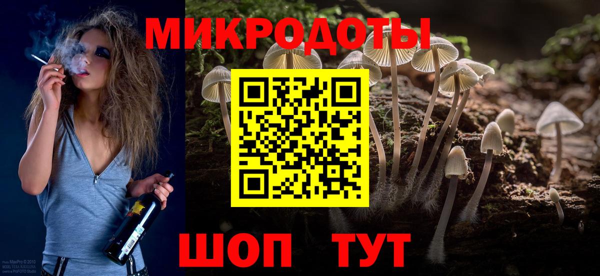 Псилоцибиновые грибы Psilocybine cubensis Михайловка