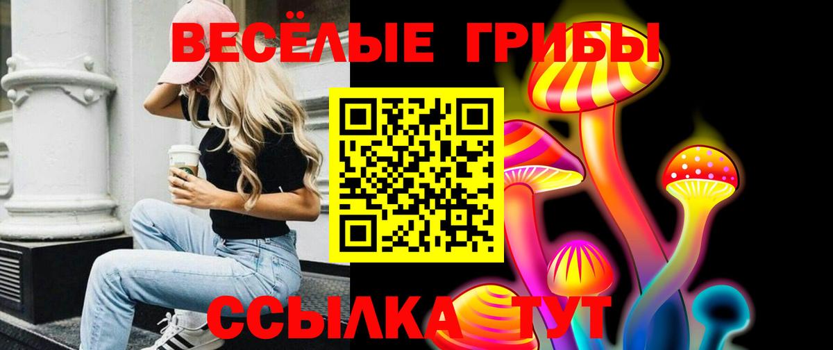 Галлюциногенные грибы MAGIC MUSHROOMS  где можно купить   Михайловка  Вход с VPN 